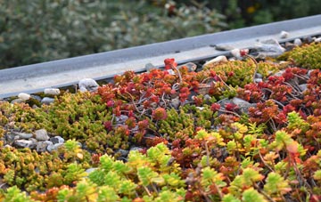 the cost of Stannergate green roof installation