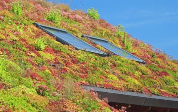 Stannergate living roof systems